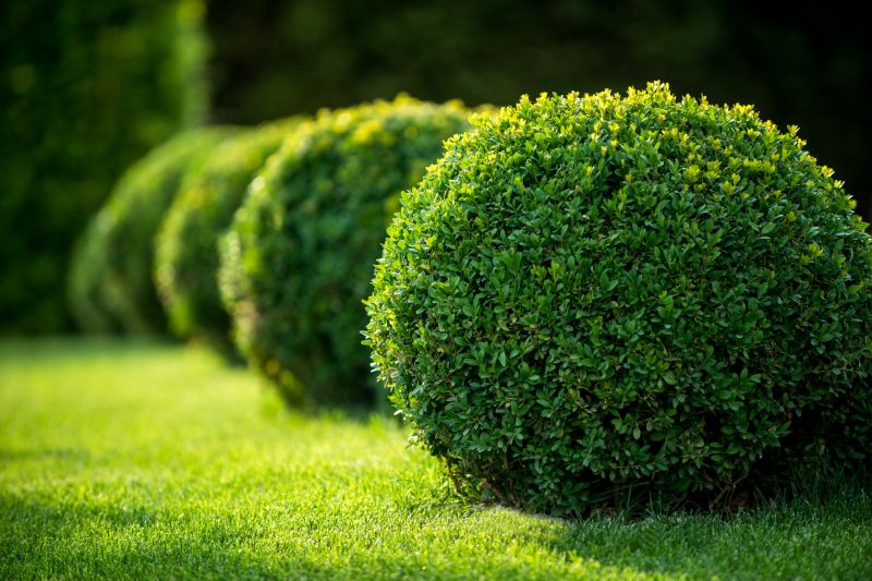 Bush Landscaping in Honolulu, HI