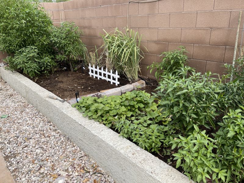 Concrete Edging Replacement in Honolulu, HI