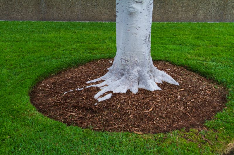 Cypress Mulch Installation in Ventura County, CA