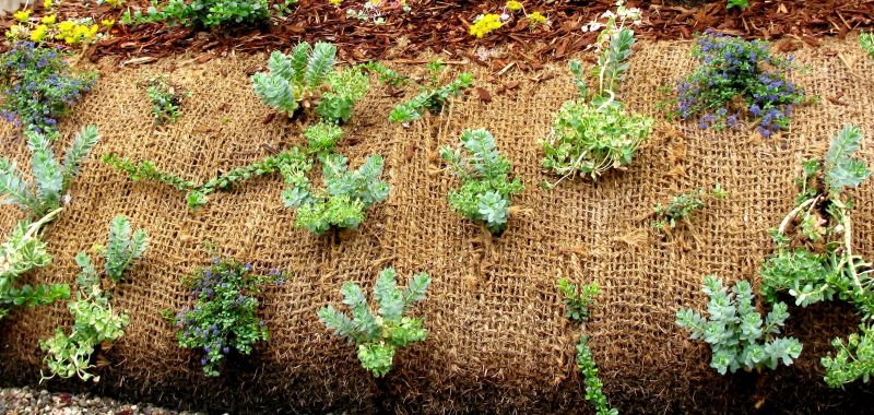 Erosion Matting Service in Honolulu, HI
