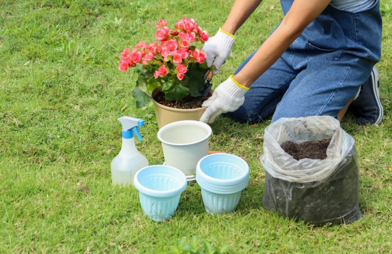 Greenery Planting in Ventura County, CA