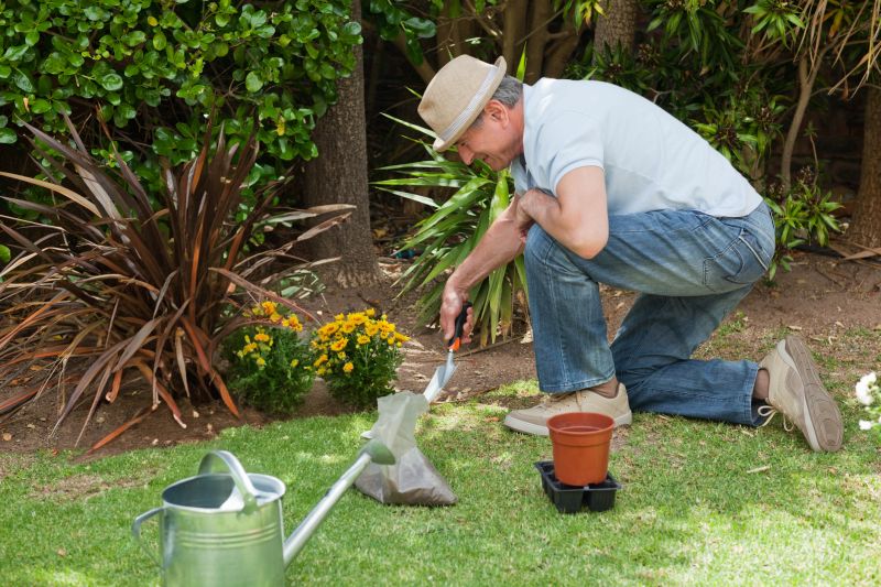 Ground Cover Planting in Ventura County, CA