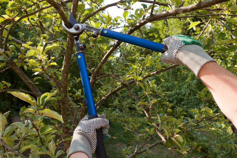Hedge Planting in Ventura County, CA