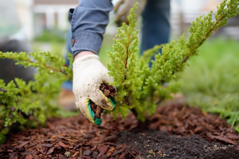 Hotel Mulching in Honolulu, HI