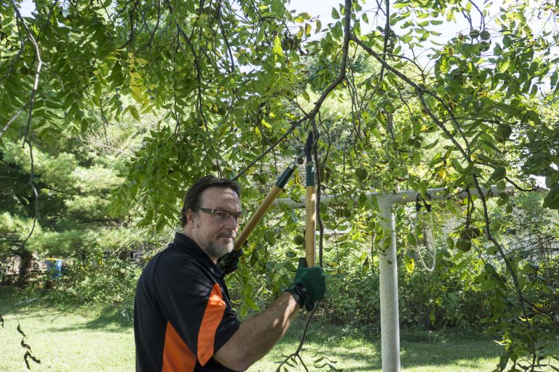 Pruning and Tree Care