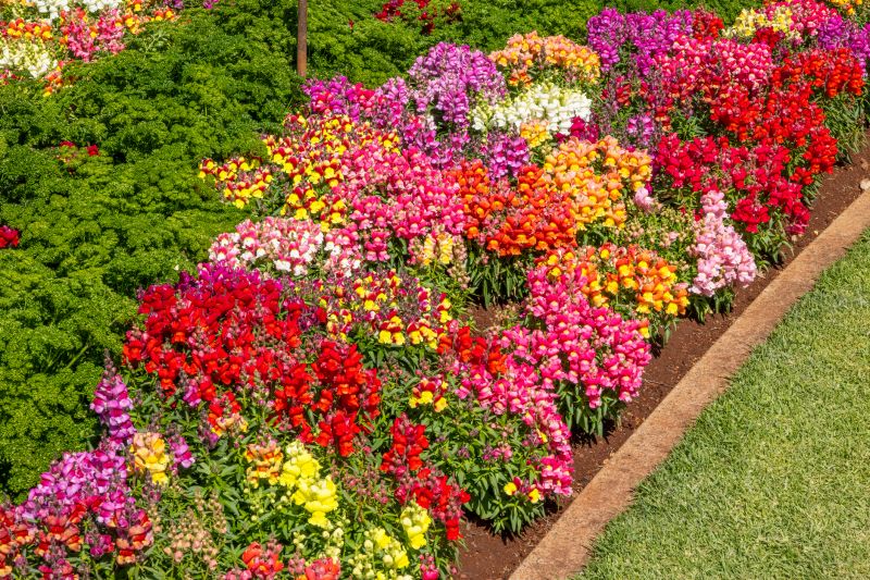 Lawn Border Installation in Citrus County, FL