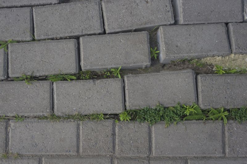 Pavers Landscaping in Norwalk, CT