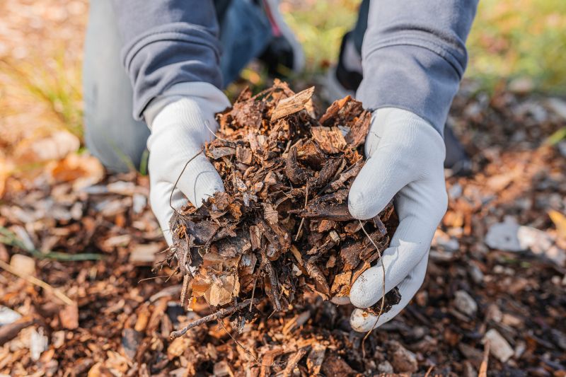 Pine Bark Mulch Installation in Honolulu, HI