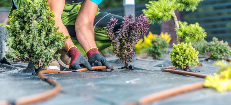Residential Landscaping in Ventura County, CA
