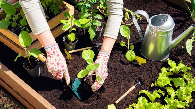 Small Garden Landscaping in Ventura County, CA